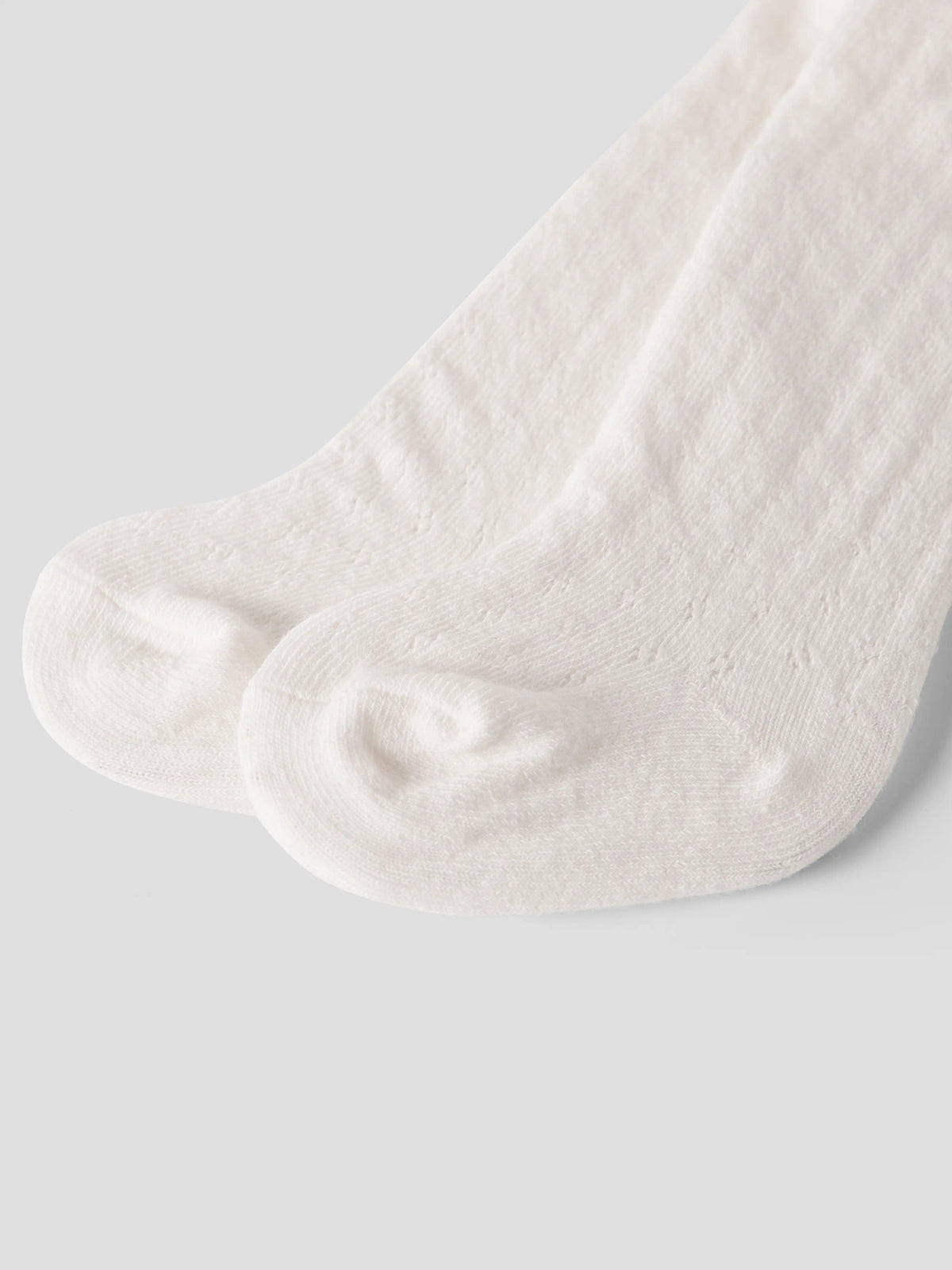 NBNILSO RUG POINTELLE PANTYHOSE LIL